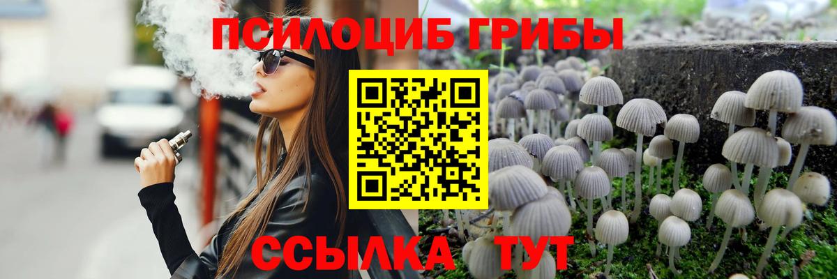 Псилоцибиновые грибы Cubensis Казань