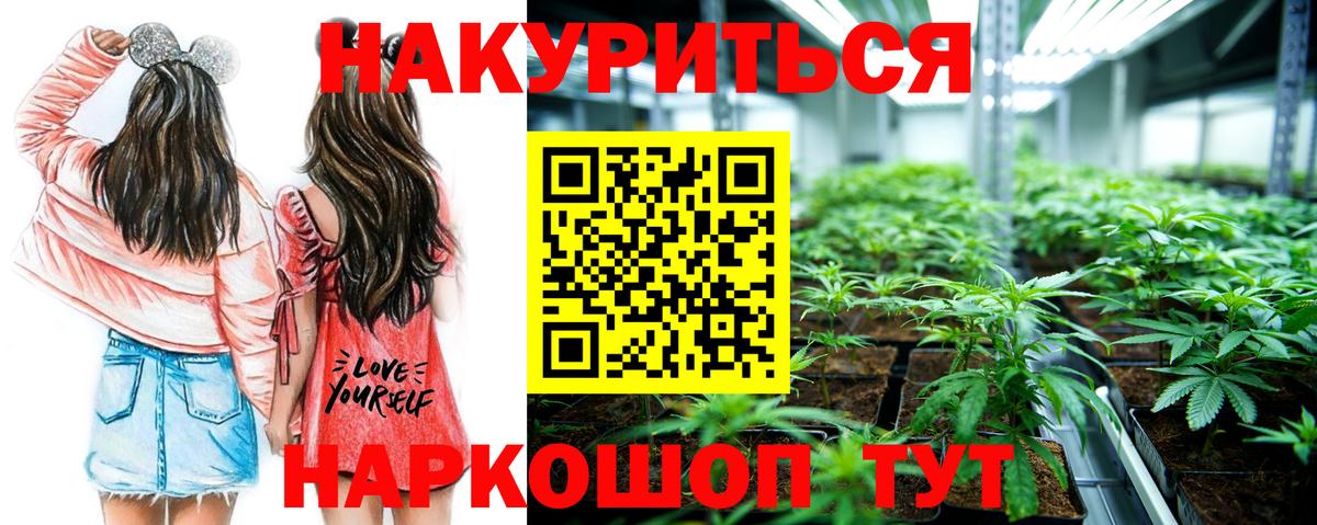 Каннабис план  Вход с VPN  Казань  Шишки марихуана SATIVA & INDICA  Шишки марихуана семена 